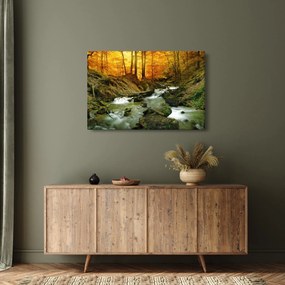 Kép - Erdő (90x60 cm)