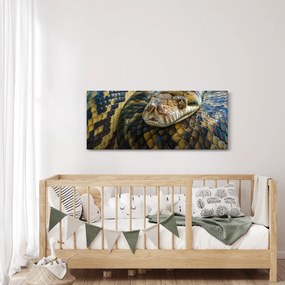 Kép - Piton (120x50 cm)