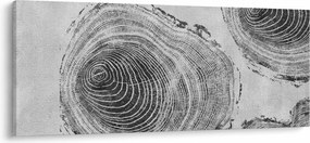 Kép - Fa motívum (120x50 cm)