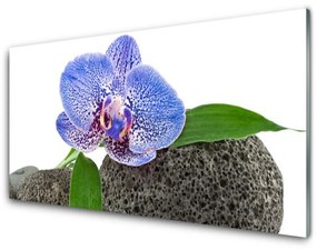 Üvegfotó Természet virág növény 120x60cm