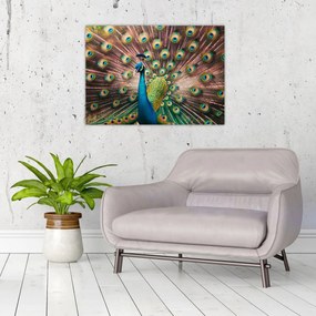 Üveg kép - Páva (70x50 cm)