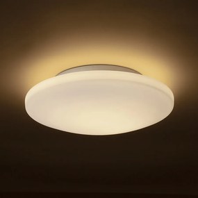 RENDL SARA LED 36 stropní opálové sklo/chrom 230V LED 24W IP44 3000K