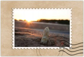 Poszterek 90x60 Spárga növekedés