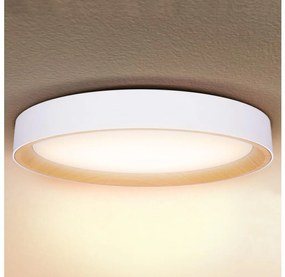 Brilagi - LED dimmelhető mennyezeti lámpa LARIOS LED/72W/230V fehér átm. 59 cm + távirányító