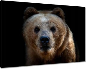 Vászonkép 100x70 Kilátás a medvére