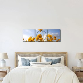 Fényes sárga virágokkal rendelkező mező képe (órával) (90x30 cm)