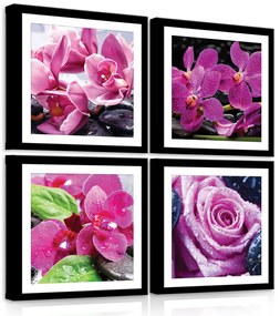 Vászonkép 4 darabos, Rózsaszín virágok 50x50 cm méretben