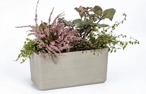 Műanyag önöntözős láda 39,5 cm Berberis – Plastia