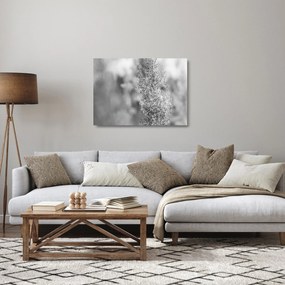 Üveg kép - Boho pampafű (70x50 cm)