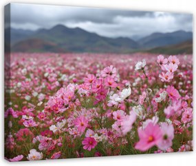 Vászonkép Virágok Mező Természet Tájkép Hálószoba Nappali Vászon 100x70