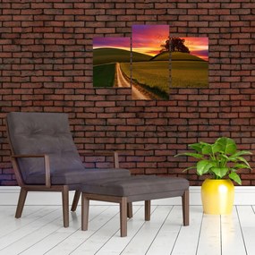 Mező és a színes ég képe (90x60 cm)