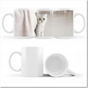 Cica fényképes bögre Cica