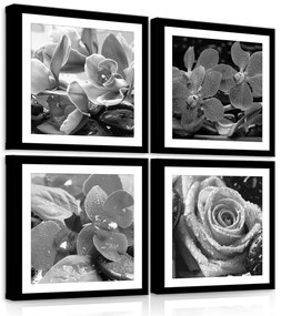 Vászonkép 4 darabos, Virágok fekete-fehérben 50x50 cm méretben