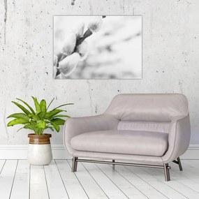 Kép - A tavasz kezdete (70x50 cm)