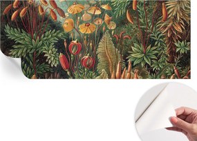 Fotótapéta Öntapadós Dekoratív tapéta Egzotikus kert 250x104 cm