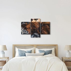 Egy kép fekvő kutyákról (90x60 cm)