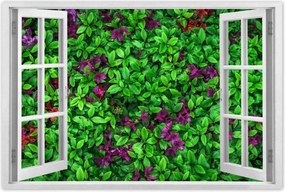 Poszterek 60x40 Kerti azálea