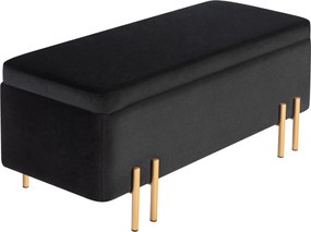 HOMCOM Kárpitozott Tároló Padlószék, Bársonyos Megjelenéssel, Tárolódoboz Fémlábakkal, Pad a Nappaliba, Hálószobába vagy Előszobába 100 x 40 x 42 cm,