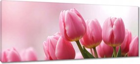 Vászonkép 100x40 Rózsaszín tulipánok