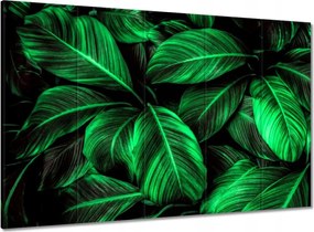 Vászonkép 100x70 Zöld levelek
