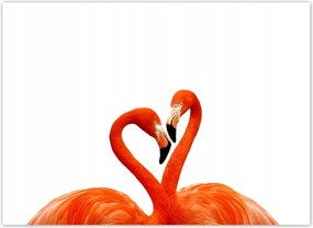 Fotótapéta flizelina 254x184 Egy pár flamingó