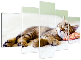 Kép - alvó cica (150x105 cm)