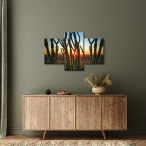 Kép - Növények (90x60 cm)