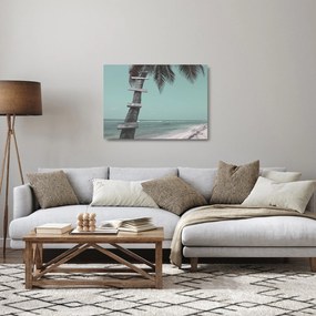 Üveg kép - Palma a Karib-tengeren (70x50 cm)