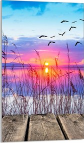 Üveg Vágódeszka 30x52 Kilátás a Konyhába