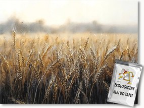 Fotótapéta Flizelina Búzamező Arany Kalászok Gabona Aratás 350x250 ragasztó