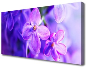 Canvas kép Flowers Lila Természet 100x50 cm