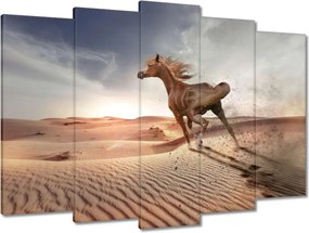 Vászonkép 70x50 Galoppozó ló
