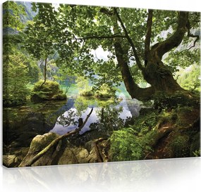 Vászonkép 80x60 Természet erdő tó tükröződés zöld nyugalom harmónia tájkép