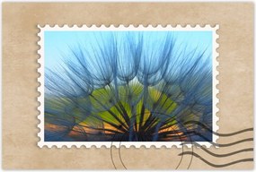 Poszterek 120x80 Pitypang Virág Virágok