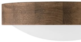 Brilagi - LED mennyezeti lámpa CARVALHO SLIM 1xE27/60W/230V dió 27 cm