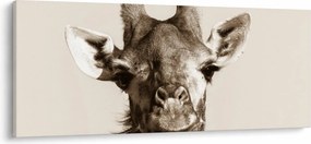 Kép - Zsiráf portré, vintage (120x50 cm)