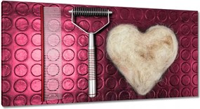 Képek 115x55 Kutyaápolás szett