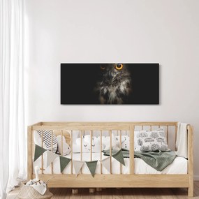 Bagoly képe (120x50 cm)