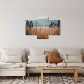 Kép - réti növényzet részlete (90x60 cm)