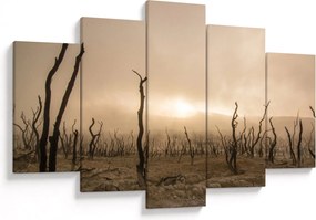 Kép - Csupasz fák (150x105 cm)