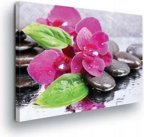 Vászonkép 80x60 Orchidea kövek spa pihenés harmónia természet rózsaszín zöld