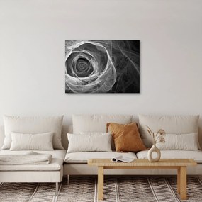 Kép - Absztrakt rózsa fekete-fehér (70x50 cm)
