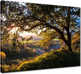 Vászonkép 50x40 Kilátás a völgyre