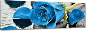 Vászonkép 120x40 Kék rózsa kövek