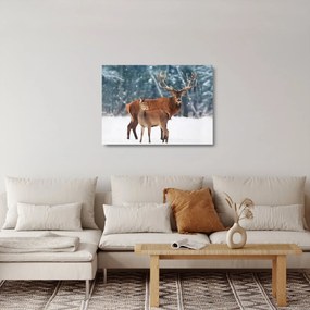 Kép egy szarvasról és őzikéről (üvegen) (70x50 cm)