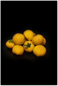 Poszterek 80x120 Sárga paradicsom