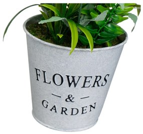 Levendula műnövény (magasság 30 cm) Lavender – Casa Selección