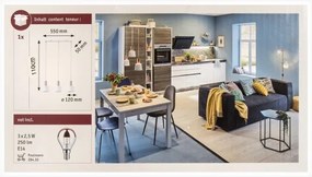 Paulmann 79657 - 3xE14/20W Csillár zsinóron NEORDIC HALDAR 230V