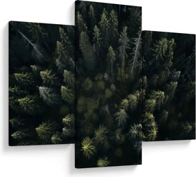 Kép - Forest (90x60 cm)