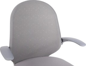 Irodai szék, szürke/fehér, PASTURA